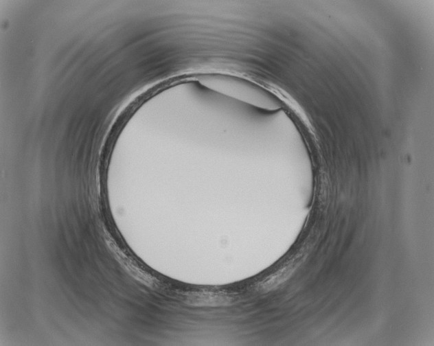 X0000087630980200705241210