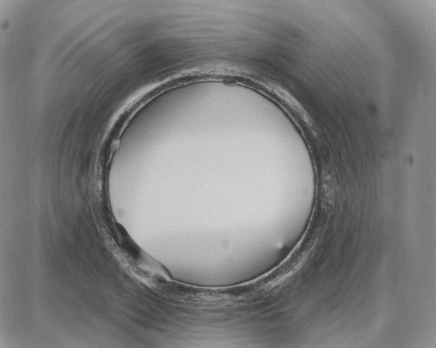 X0000087630981200705241210