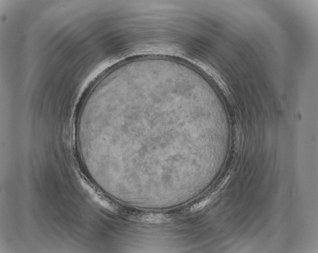 X0000087630982200705241210