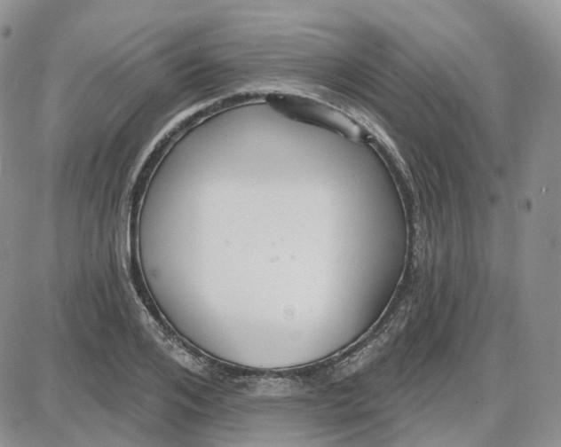 X0000087630984200705241210