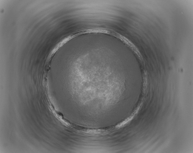 X0000087630985200705241210