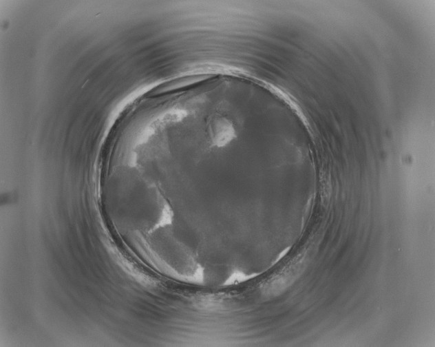 X0000087630987200705241210