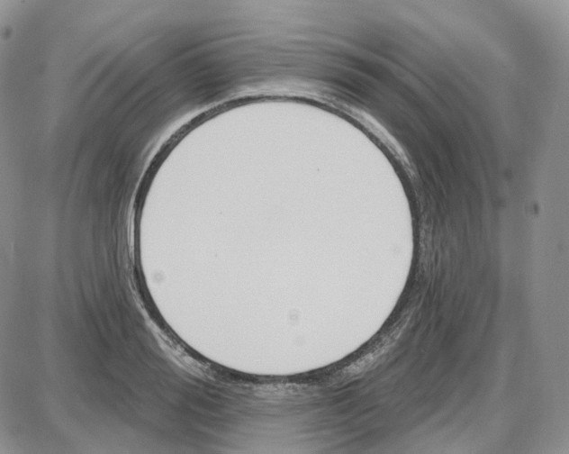 X0000087630988200705241210