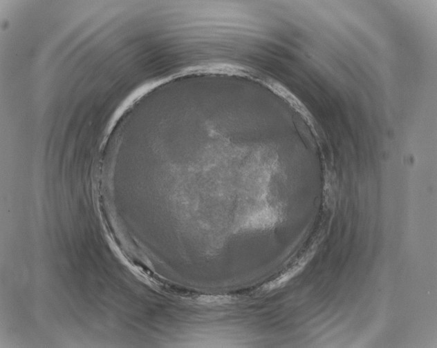 X0000087630989200705241210