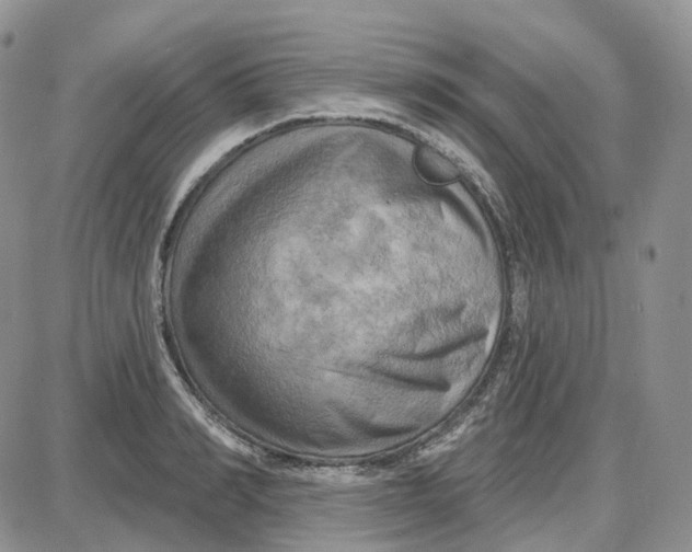 X0000087630990200705241210