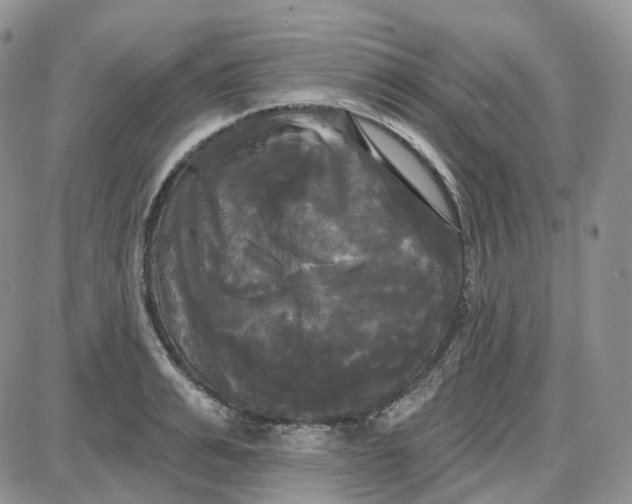 X0000087630991200705241210