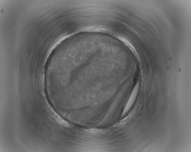 X0000087630992200705241210