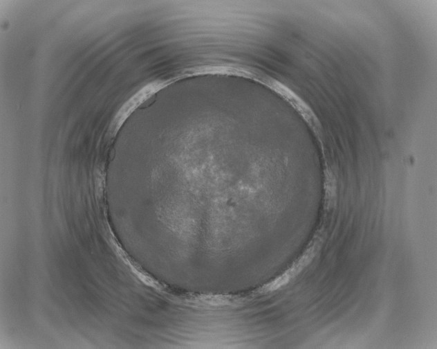 X0000087630993200705241210