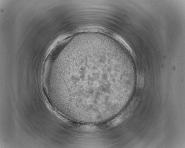 X0000087630994200705241210