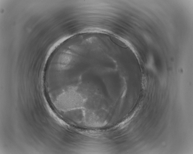 X0000087630995200705241210