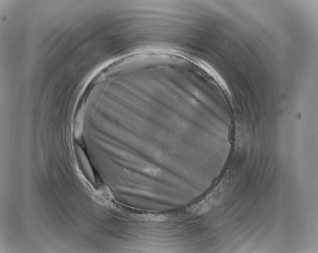 X0000087630996200705241210