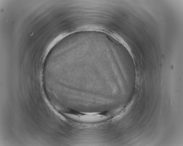 X0000087630997200705241210