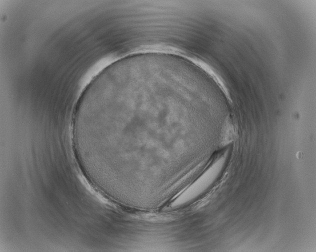 X0000087630998200705241210