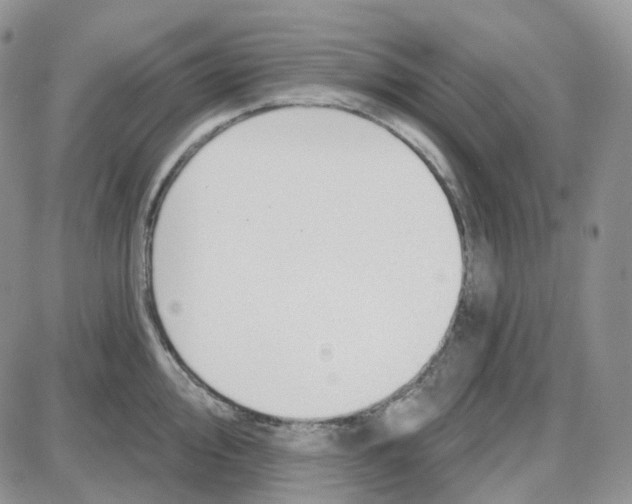 X0000087631000200705241210