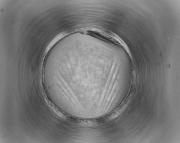 X0000087631002200705241210