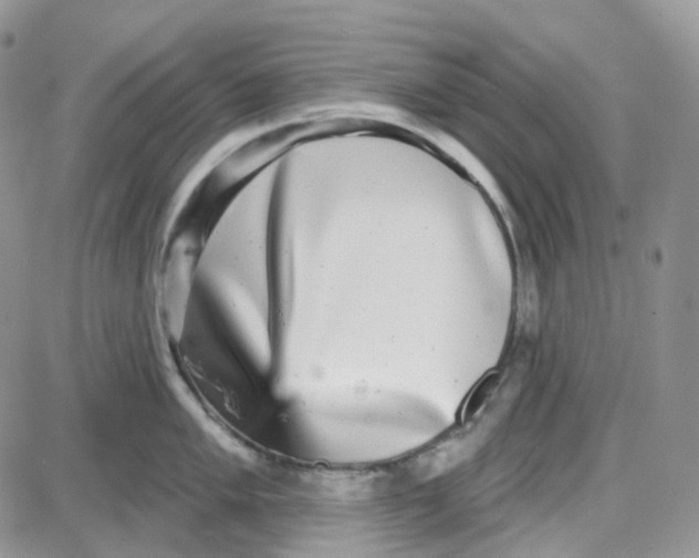 X0000087631005200705241210