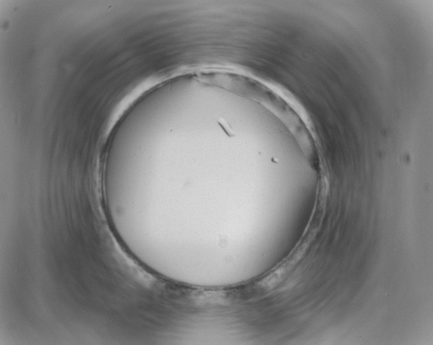 X0000087631006200705241210