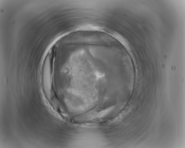 X0000087631008200705241210