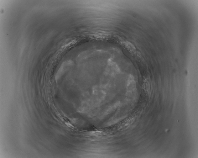 X0000087631009200705241209