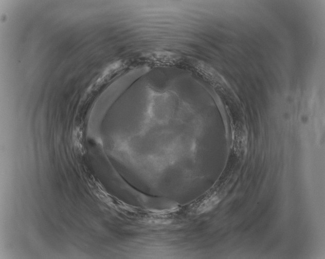 X0000087631010200705241209