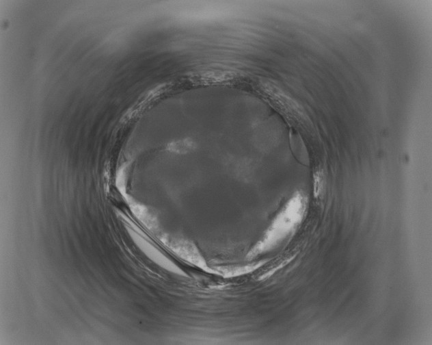 X0000087631011200705241209