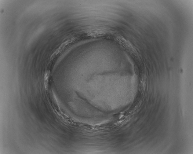 X0000087631012200705241209