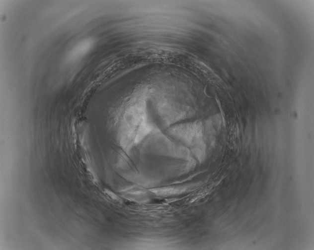 X0000087631013200705241209