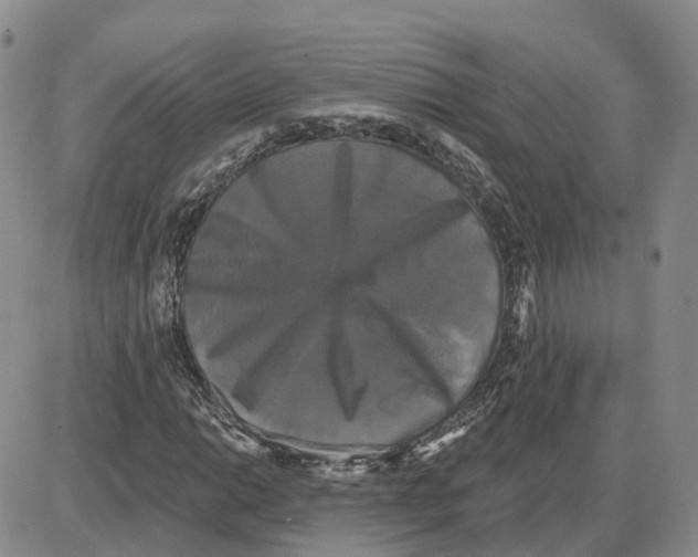 X0000087631014200705241209