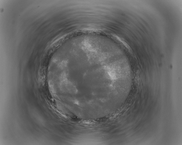 X0000087631015200705241209