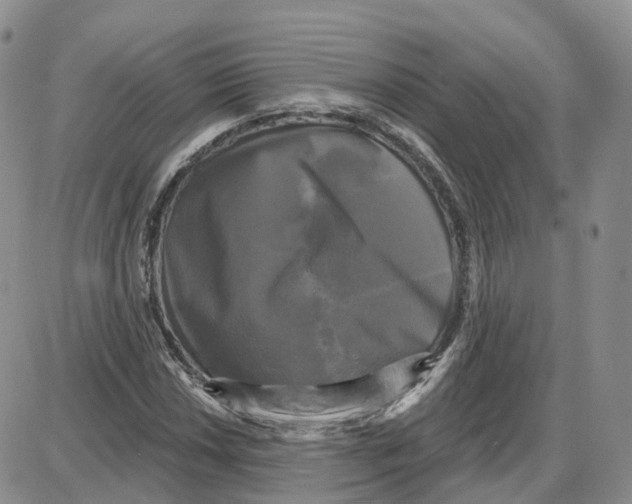 X0000087631018200705241209