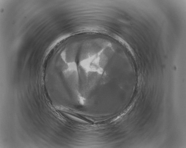 X0000087631019200705241209