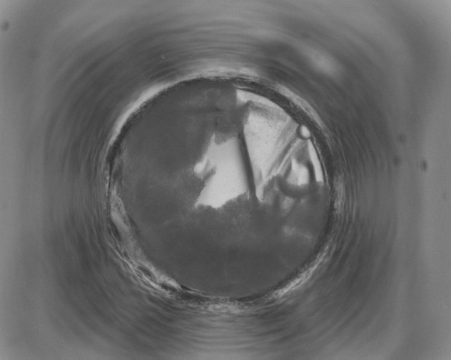 X0000087631021200705241209