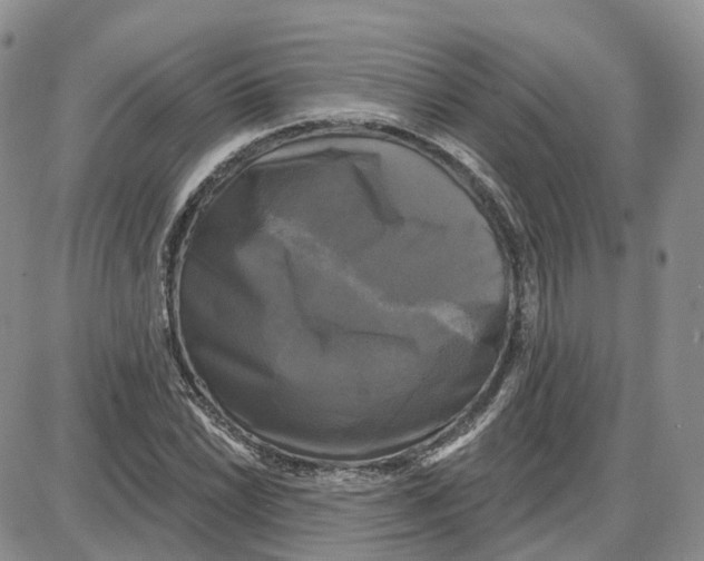 X0000087631022200705241209