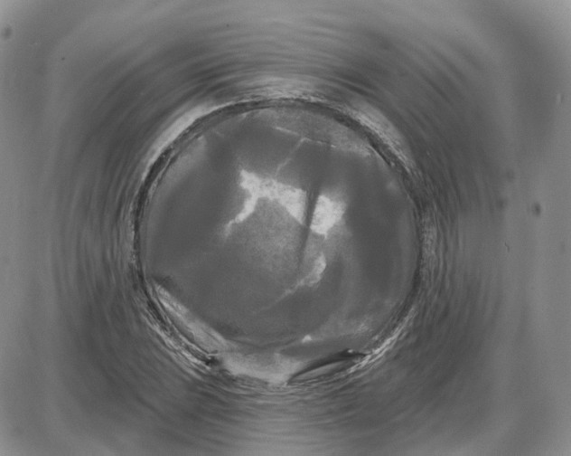 X0000087631023200705241209