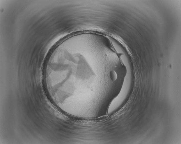 X0000087631024200705241209