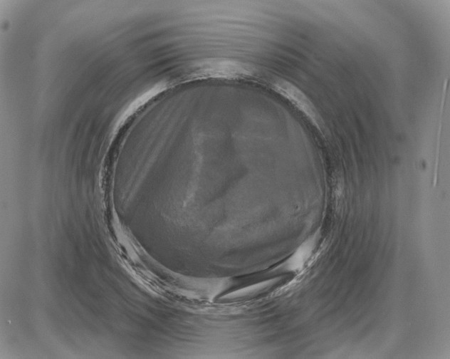 X0000087631026200705241210