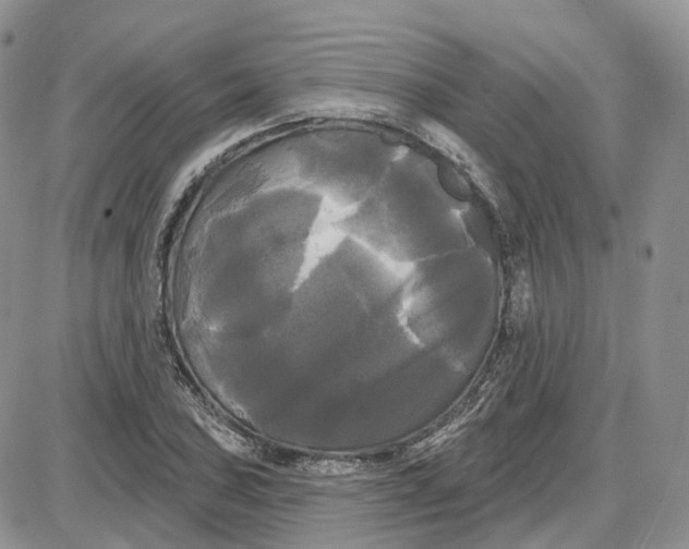 X0000087631027200705241210