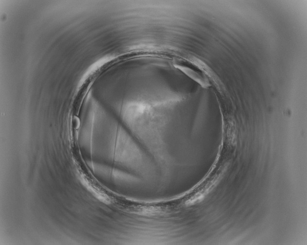 X0000087631030200705241210