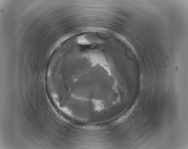 X0000087631033200705241210