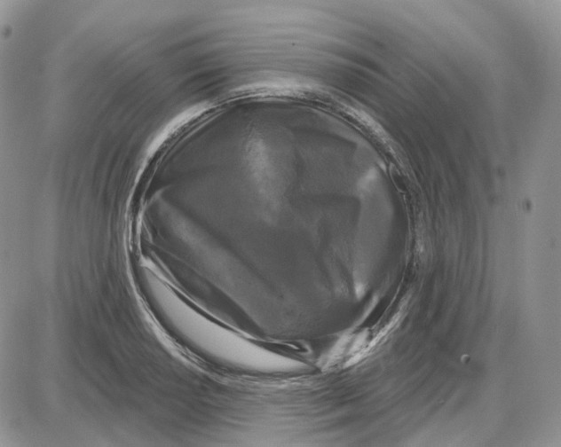 X0000087631034200705241210