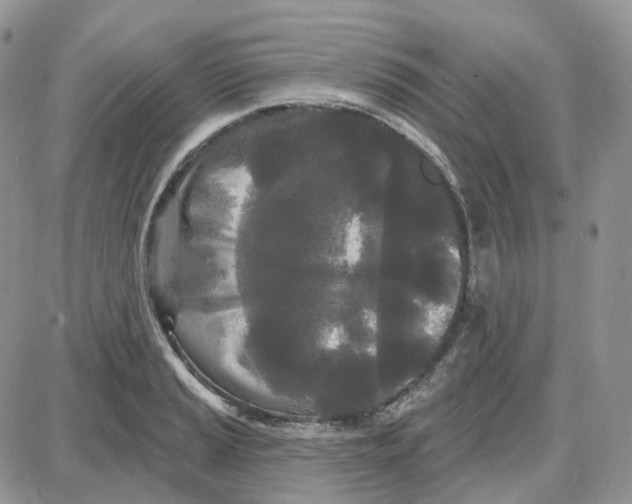 X0000087631037200705241210