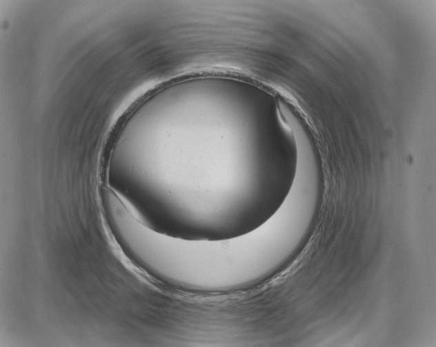 X0000087631038200705241210