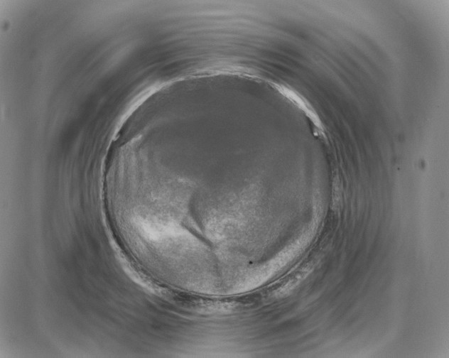 X0000087631039200705241210