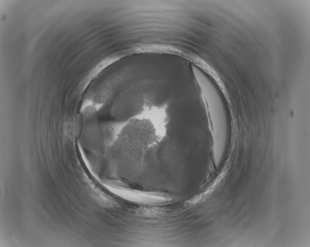 X0000087631041200705241210