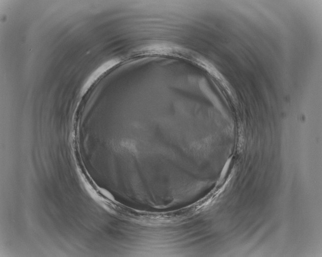 X0000087631042200705241210