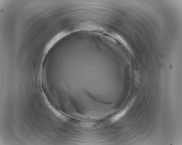 X0000087631046200705241210