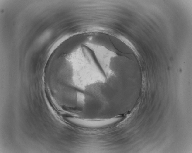 X0000087631047200705241210