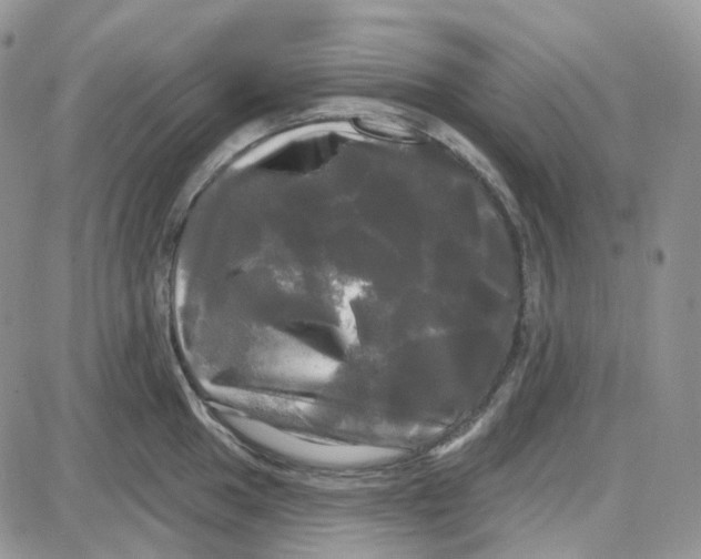 X0000087631049200705241210