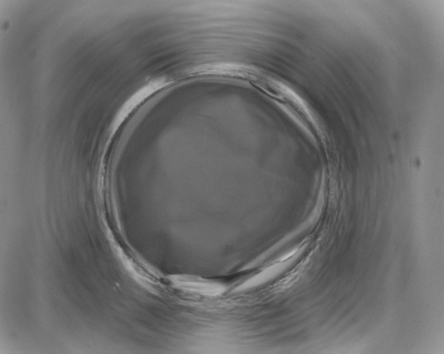 X0000087631050200705241210