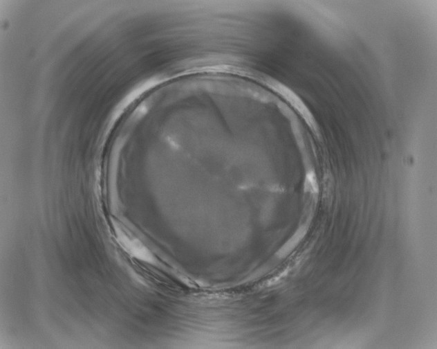 X0000087631051200705241210